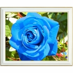 diamond-painting-rose-bleu