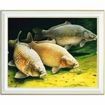 diamond-painting-carpes