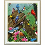 diamond-painting-oiseaux-forêt