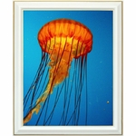 diamond-painting-meduse