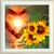 diamond-painting-coeur-soleil-tournesol