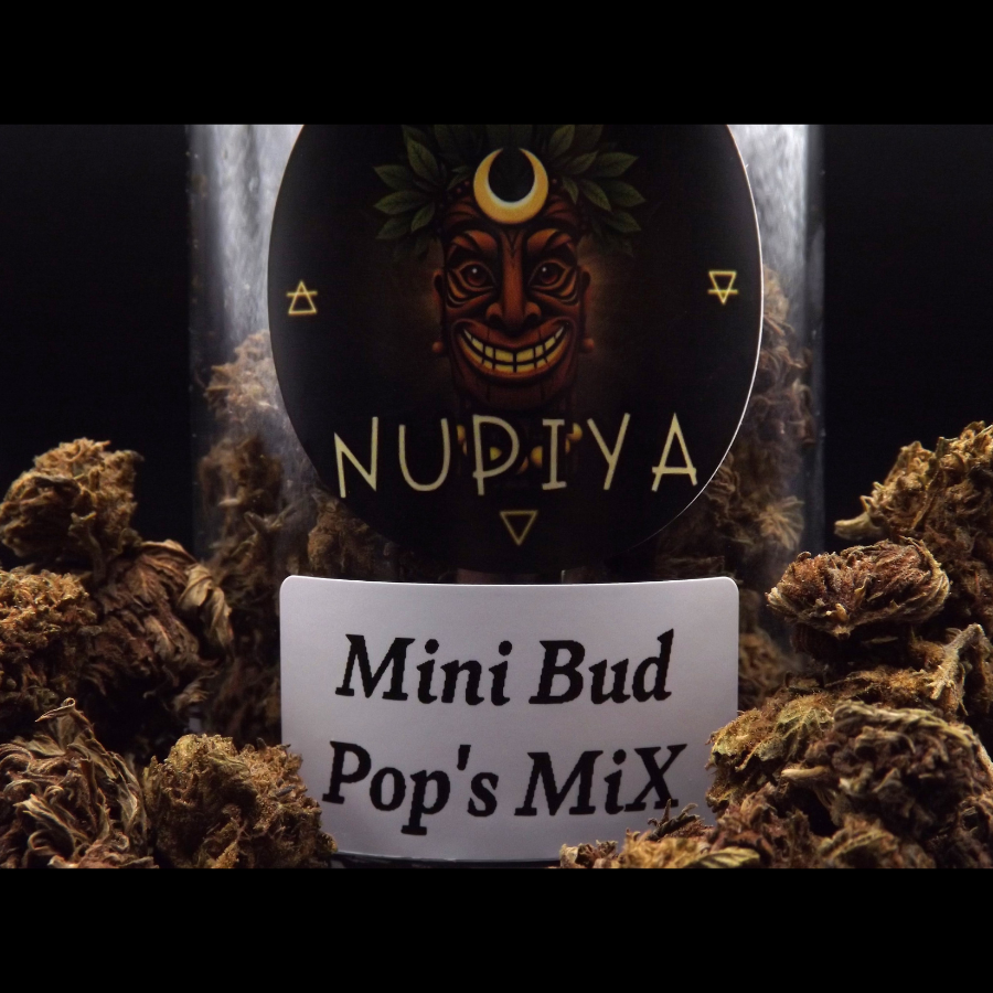 MINI_BUD_POPS_MIX_FLEURS_DE_CBD_001