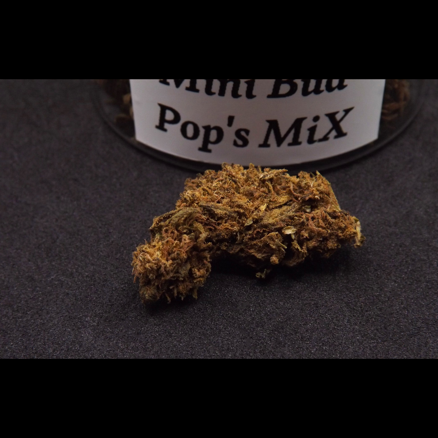 MINI_BUD_POPS_MIX_FLEURS_DE_CBD_003