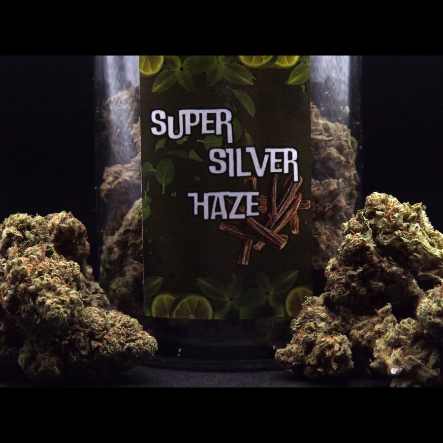 SUPER_SILVER_HAZE_FLEURS_DE_CBD_001