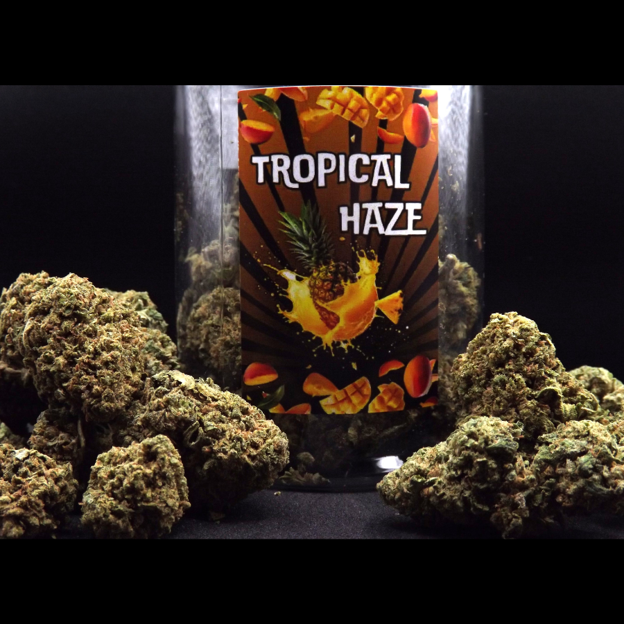 TROPICAL_HAZE_FLEURS_DE_CBD_001