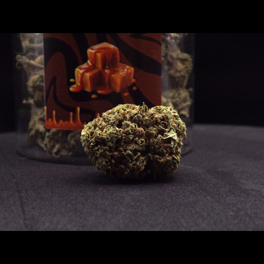 CARAMEL_CANDY_FLEURS_DE_CBD_004