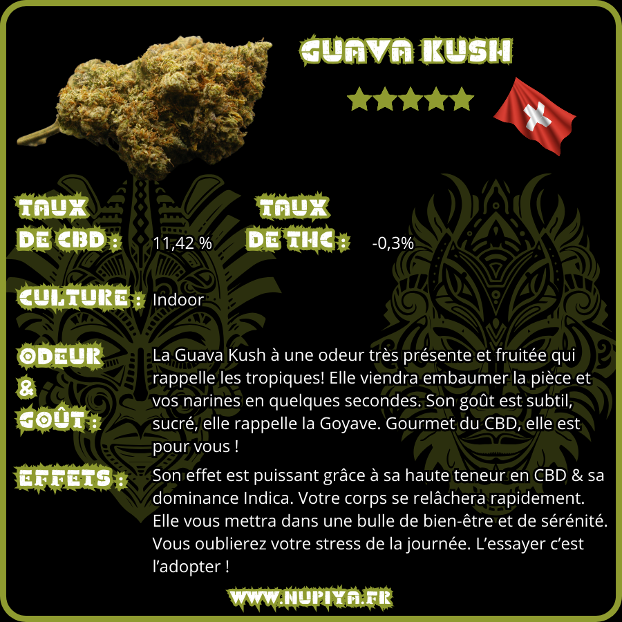 GUAVA-KUSH-FLEUR-DE-CBD-EFFET