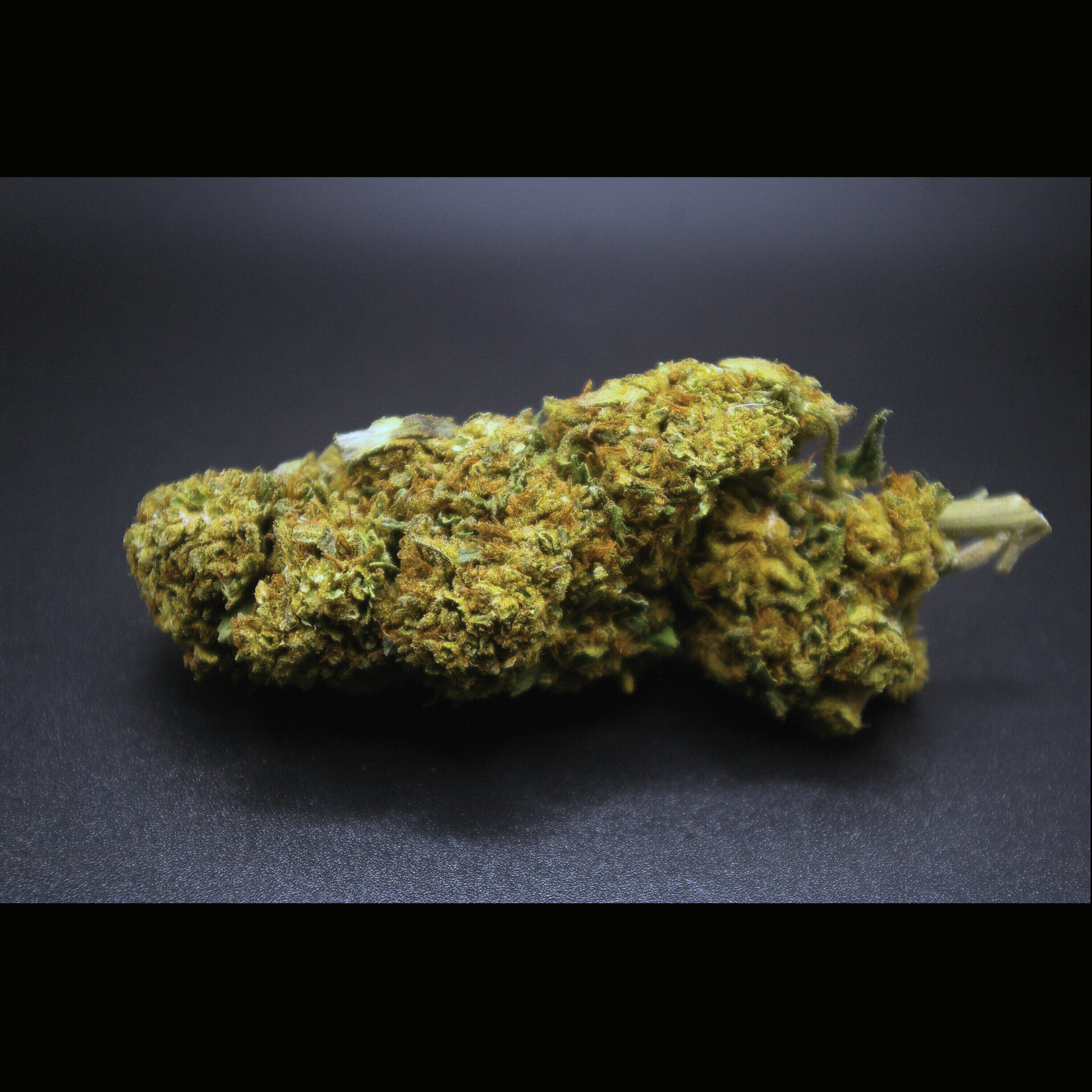 JACK-HERER-FLEURS-DE-CBD-4