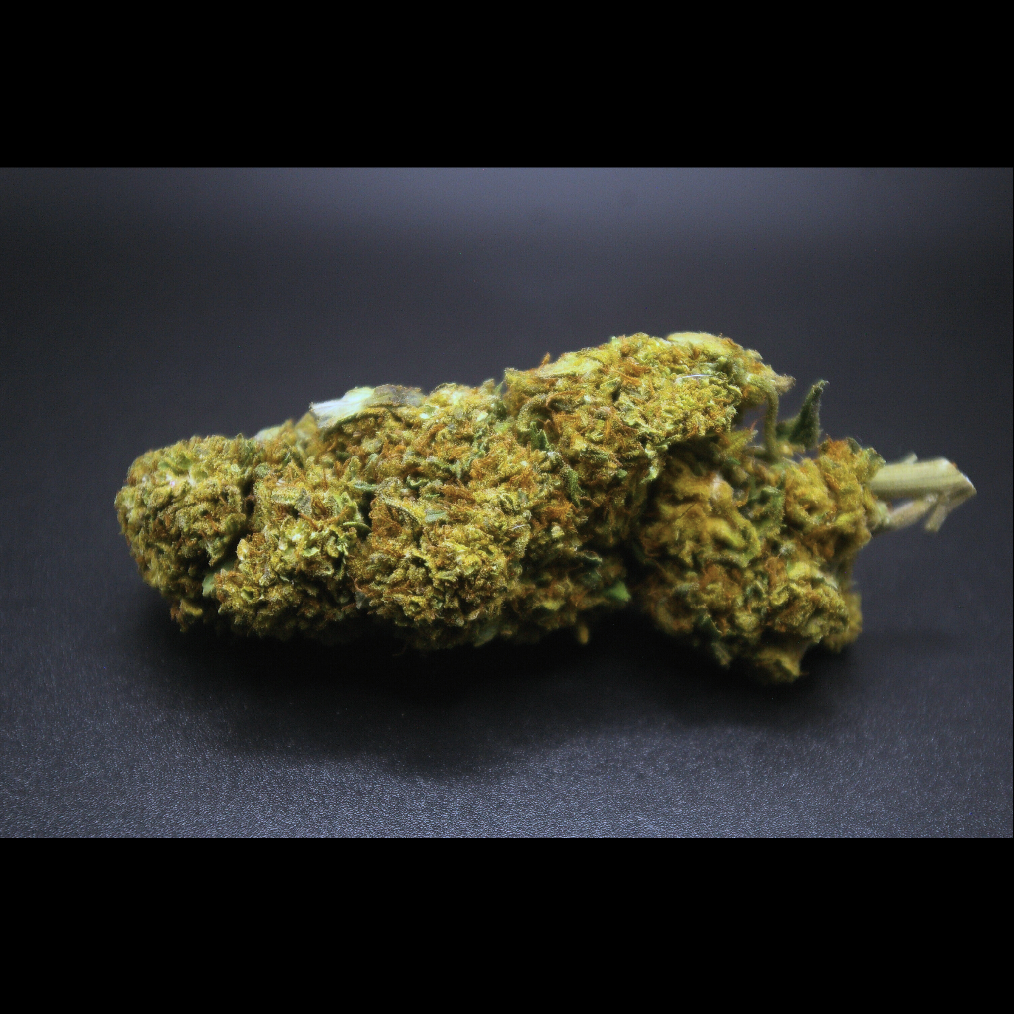 JACK-HERER-FLEURS-DE-CBD-3