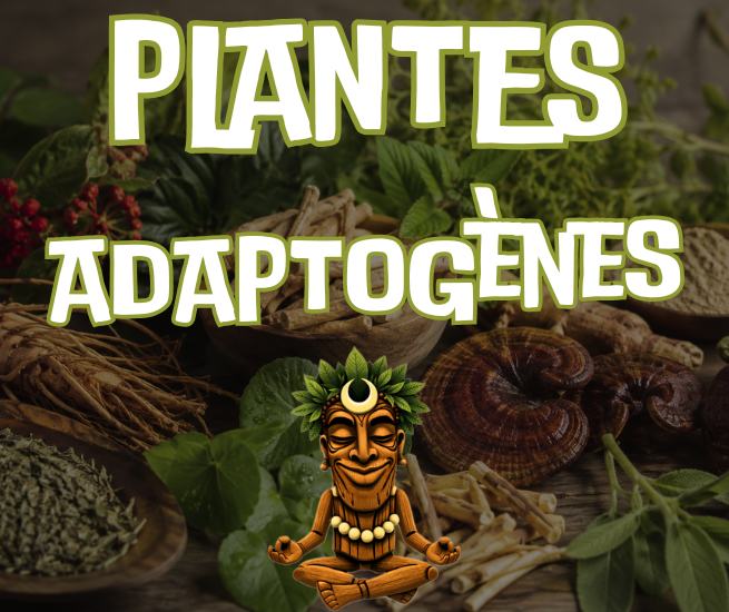 plantes