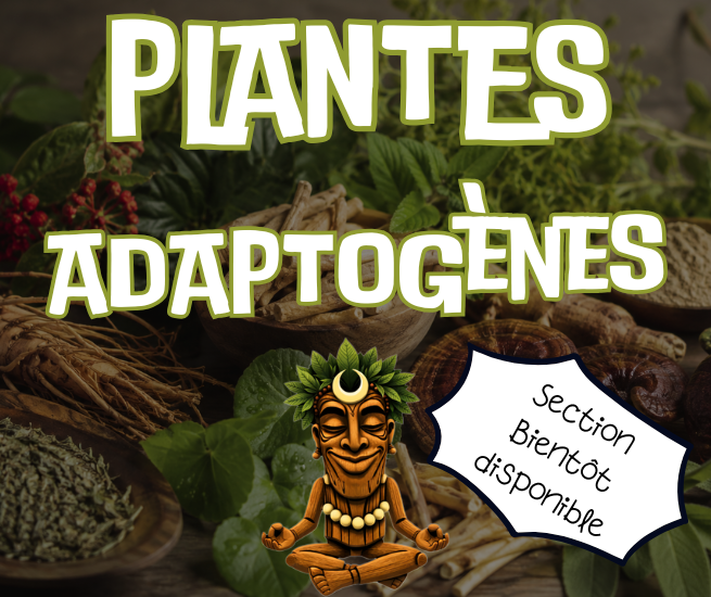 plantes