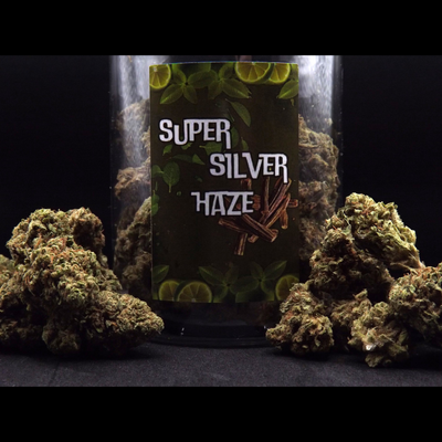 SUPER_SILVER_HAZE_FLEURS_DE_CBD_002