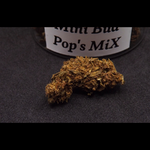 MINI_BUD_POPS_MIX_FLEURS_DE_CBD_003
