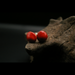 Design sans titre (17)