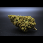 MILKY-WAY-FLEURS-DE-CBD-2