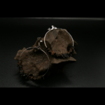 DARTRIER_BOUCLE_D_OREILLES_ARTISANALES_GRAINES_001