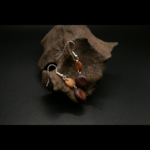 MAMIE_SIKIDY_BOUCLE_D_OREILLES_ARTISANALES_GRAINES_001