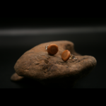 PUCE_ALBIZI_BOUCLE_D_OREILLES_ARTISANALES_GRAINES_001