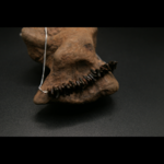 DARTRIER_2.0_COLLIER_ARTISANAL_GRAINES_001
