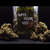 SUPER_SILVER_HAZE_FLEURS_DE_CBD_002