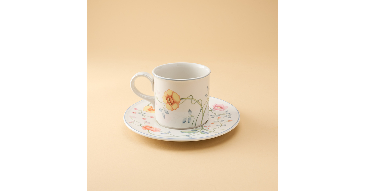 Tasse Et Sous-tasse Villeroy & Boch – Modèle Météore – Mettlach – Occasion