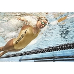 Lunettes de natation Speedo Speed Socket 2.0 Gold