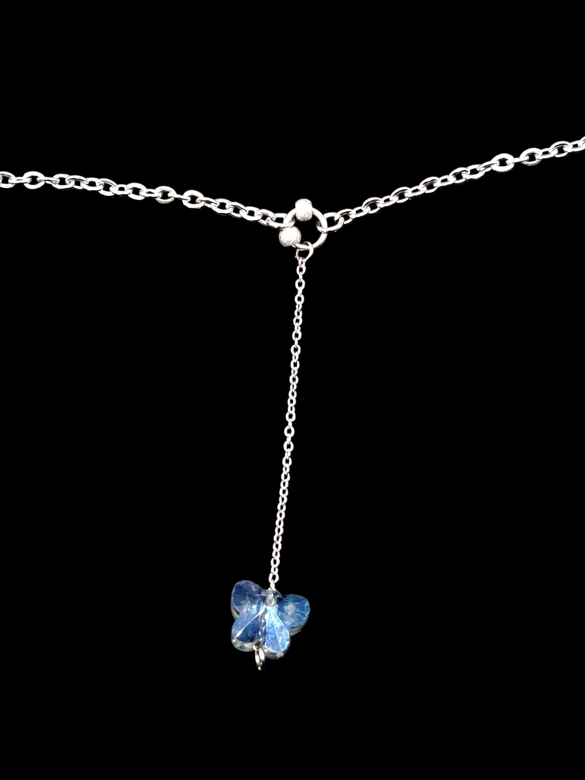 20260328_114349.jpg