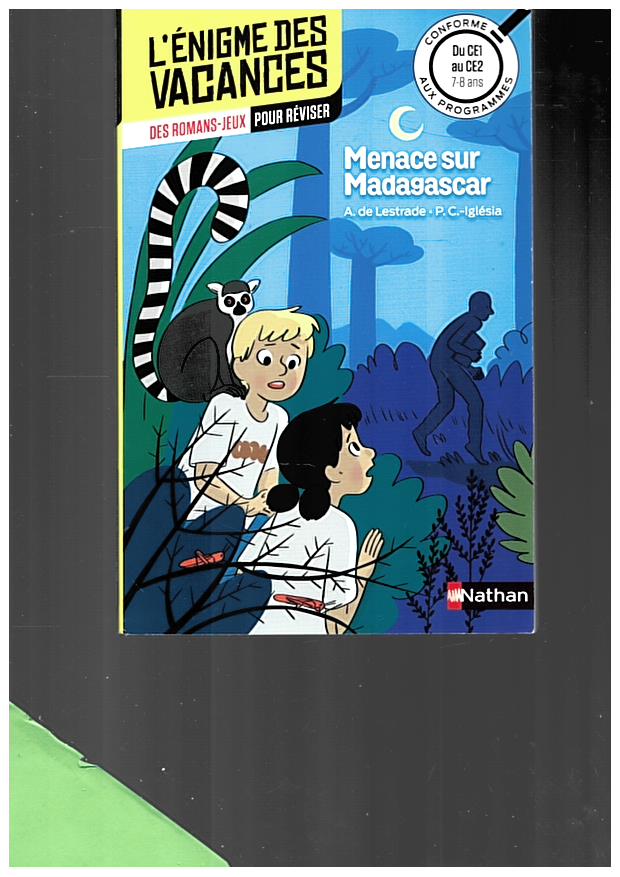 Menace sur Madagascar - Du CE1 au CE2(l'énigme des vacances) - livres ...