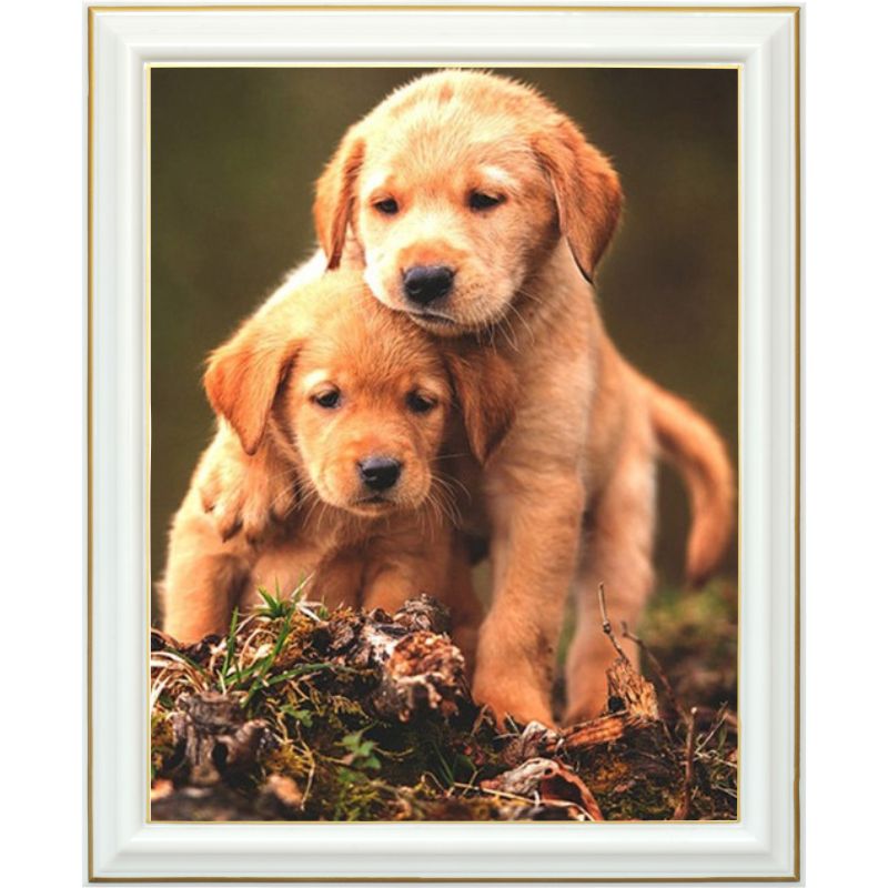 diamond-painting-golden-retriever-chiot