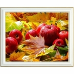 diamond-painting-pommes-rouges