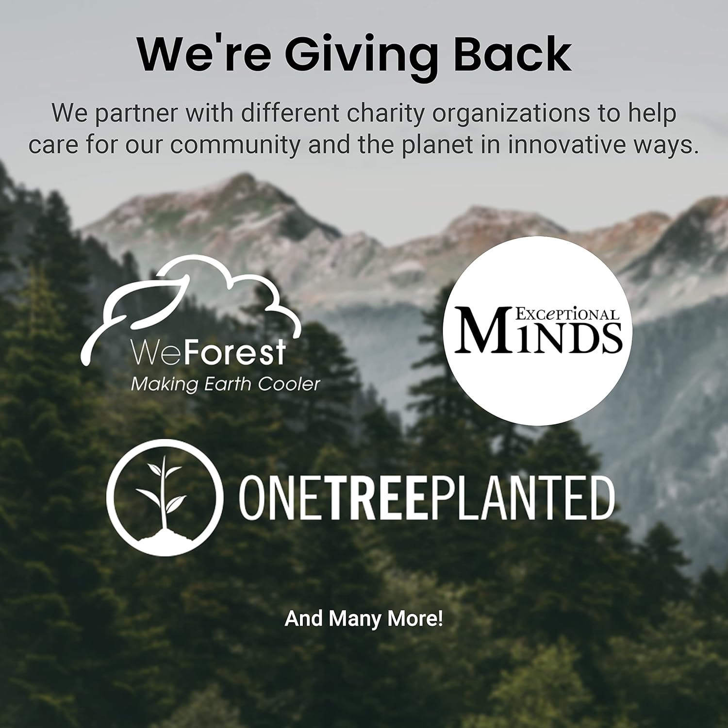 81otck3YyvL._AC_UL1500_