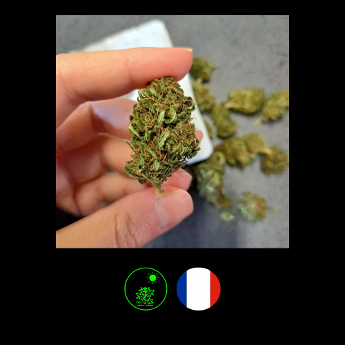 CHE23-BRB-09180830 BLACKBERRY France_2