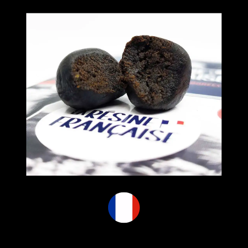 LARESINEFR-NEPALAIS_1