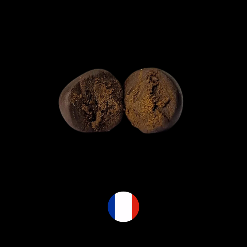 3XFILTRE-VERDE_2