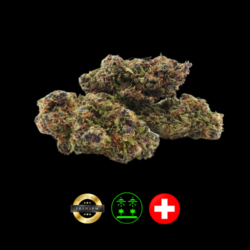 FLDCBD-PURPHAZ_1