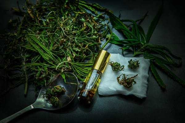 Nos infusions de CBD