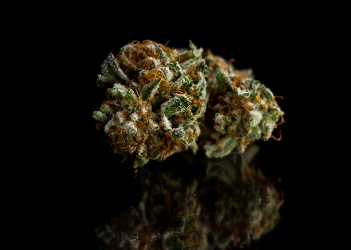 Nos fleurs de CBD