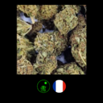 CHE23-BRB-09180830 BLACKBERRY France_3