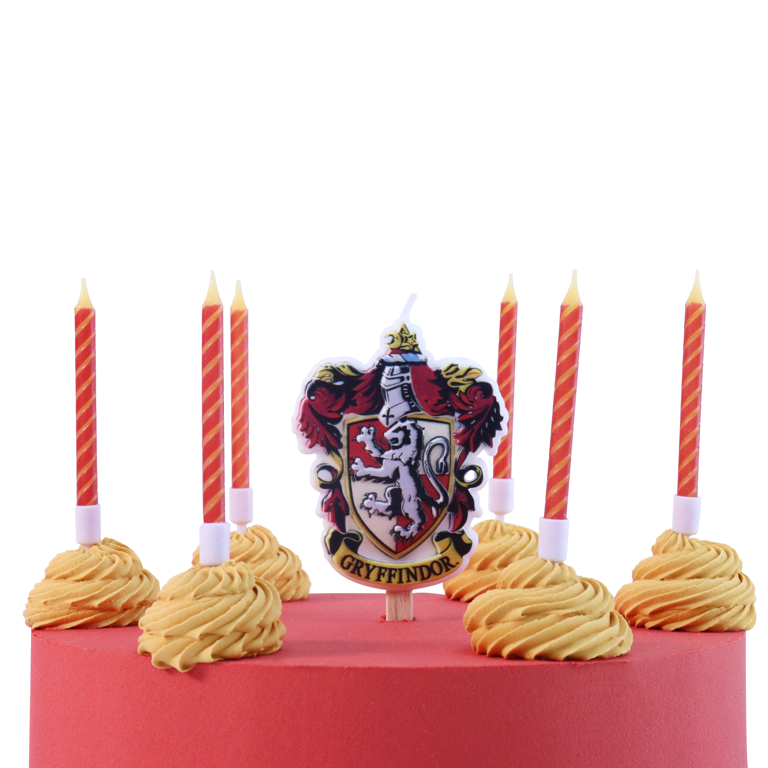 HPH113-005-Candle Cake