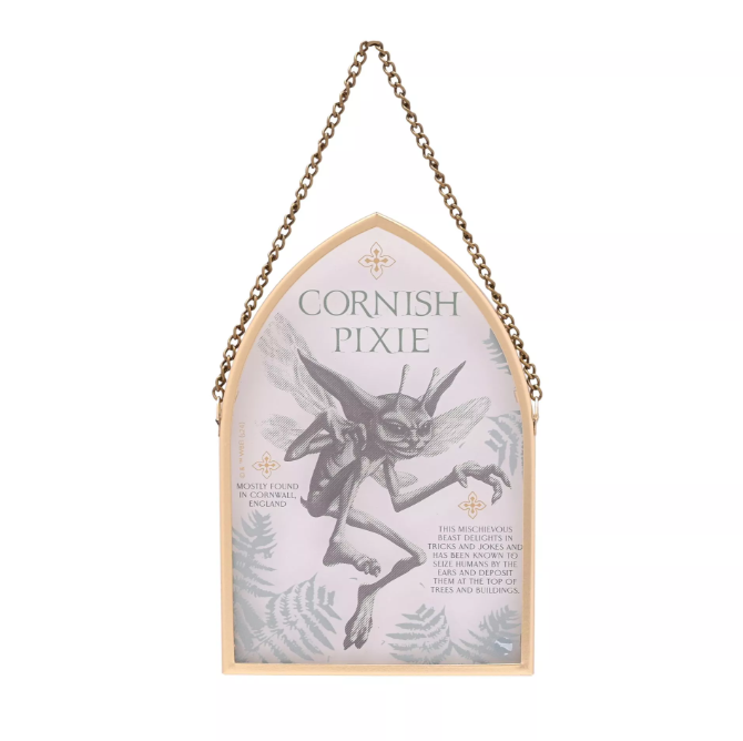 Plaque darche dherbologie de Warner Bros Harry Potter - Cornish Pixie