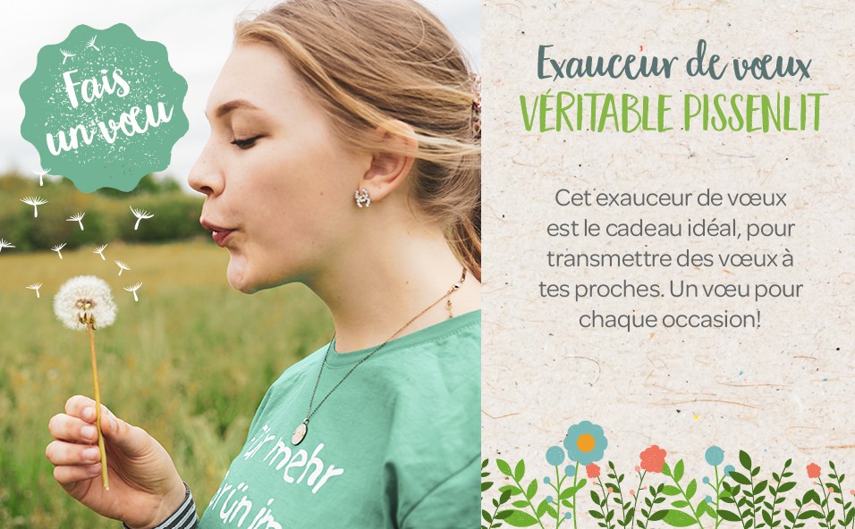 EXOCEUR DE VOEUX 1