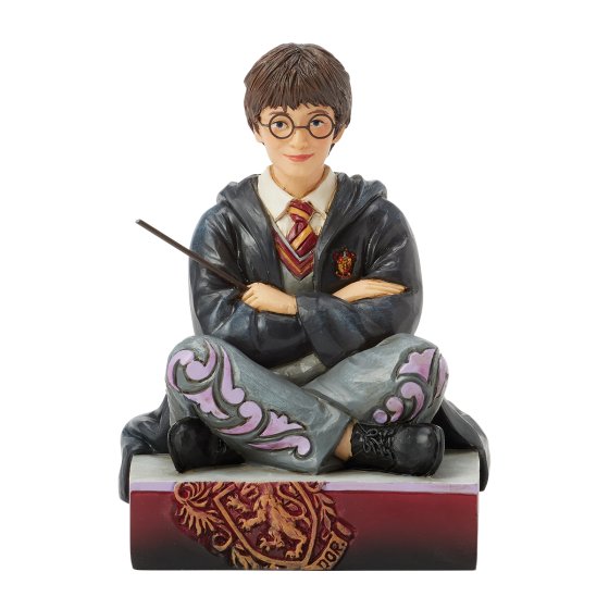 HARRY WITH WAND