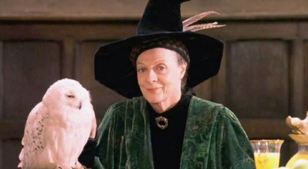 Sculpture Hedwige - Harry Potter - NN7876