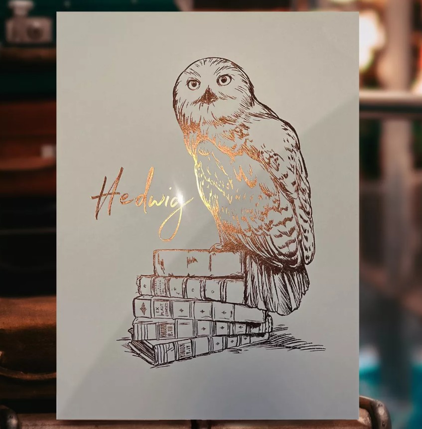 Affiche  Hedwige Poster en Dorure à chaud 1