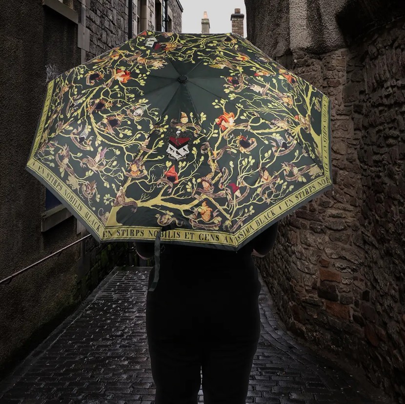 Parapluie - Famille Black - Harry Potter 2