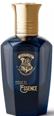 Parfum pour homme sagesse 7191 2