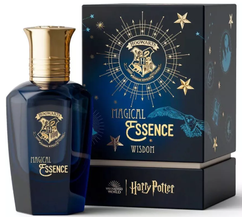 Parfum pour homme sagesse 7191 1