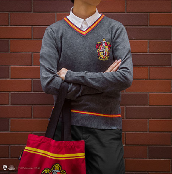 Pull Gryffondor CR1511 4