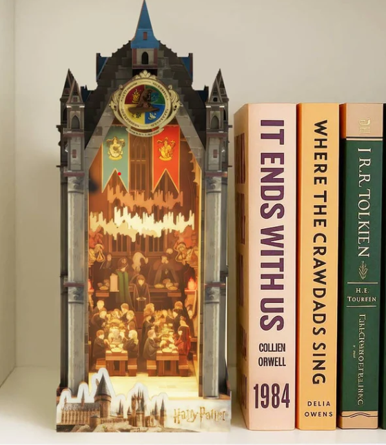 Serre livres a construire La grande salles 8