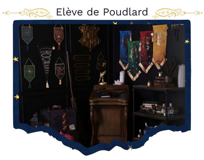 Collection Ancien Elevé de Poudlard